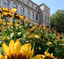 La Balade BiodiverSainté