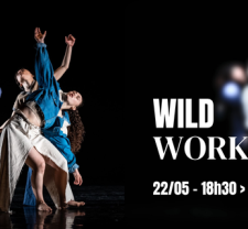 Wild Workshop