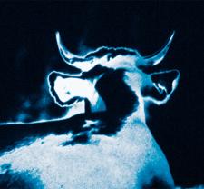 Darkness, darkness, burning bright • Gaëlle Rouard