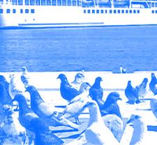 Journal syriote • Théo Deliyannis