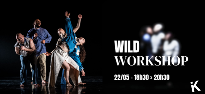 Wild Workshop