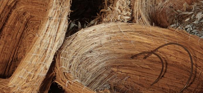 Rencontre avec Atelier bicéphale