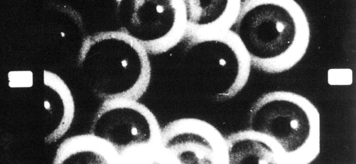 Filmstudie • Hans Richter